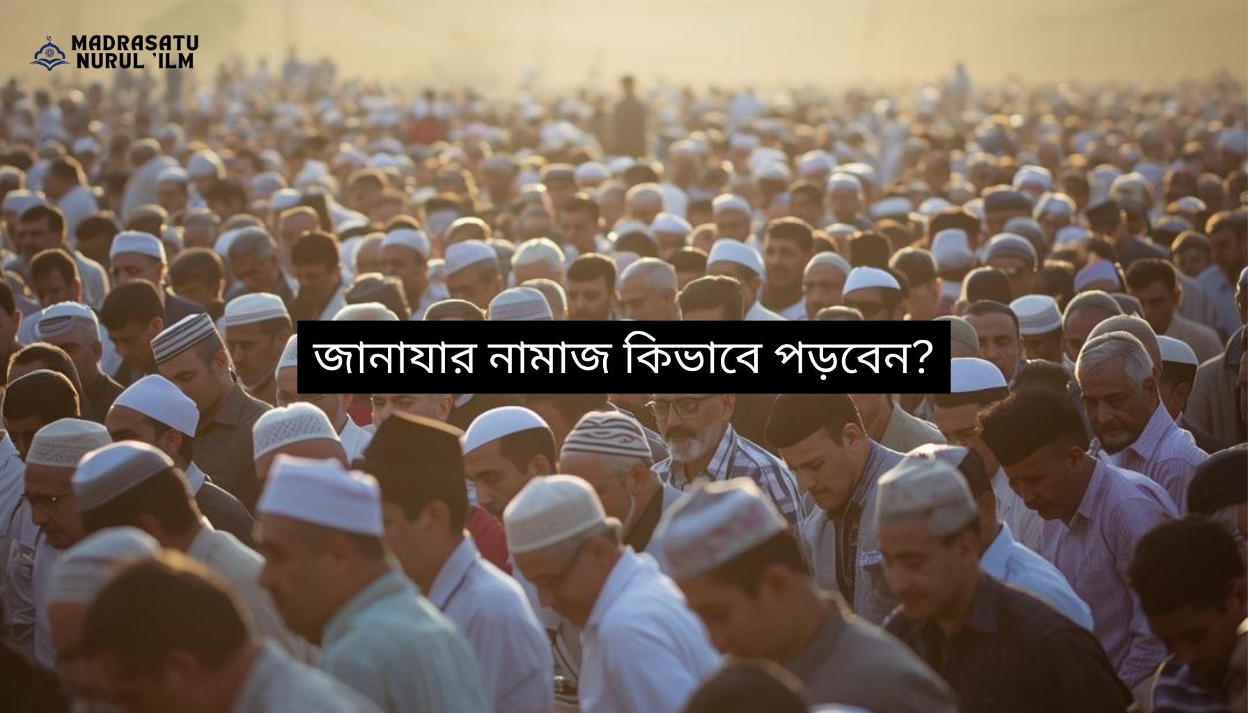 জানাযার নামাজ কিভাবে পড়বেন?